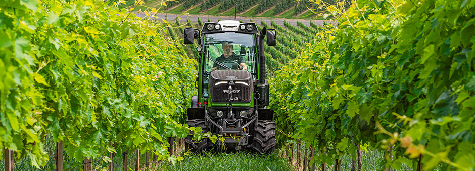 Fendt Weinbautraktoren 200 Vario V/F/P